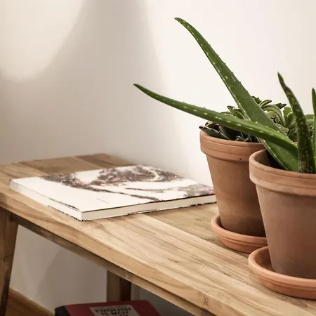 Precioso Atico Con Terraza Y Vistas A Silgar.