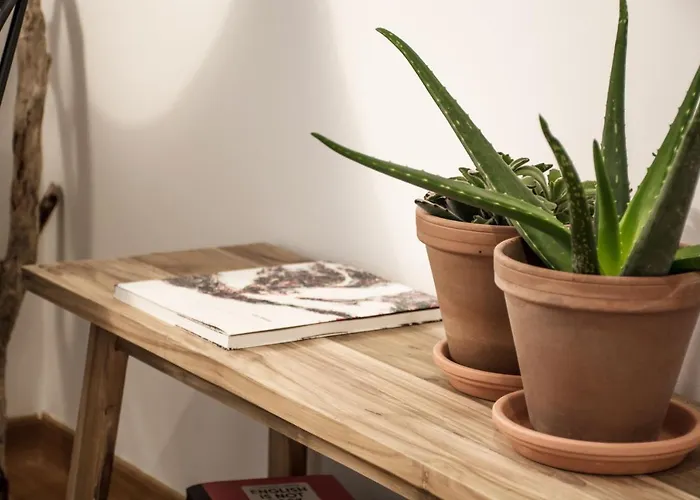 Precioso ático Con Terraza Y Vistas A Silgar.